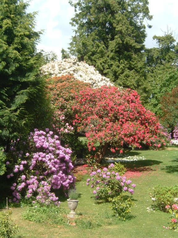 Bruce Castle Bed & Breakfast Brix Ngoại thất bức ảnh